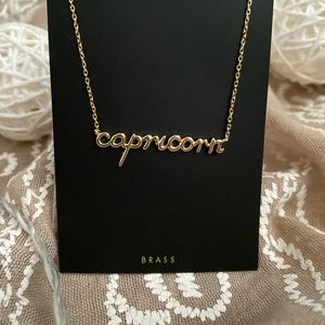 Zodiac sign necklace (Capricorn)